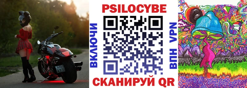 закладки  Черемхово  Галлюциногенные грибы Cubensis 