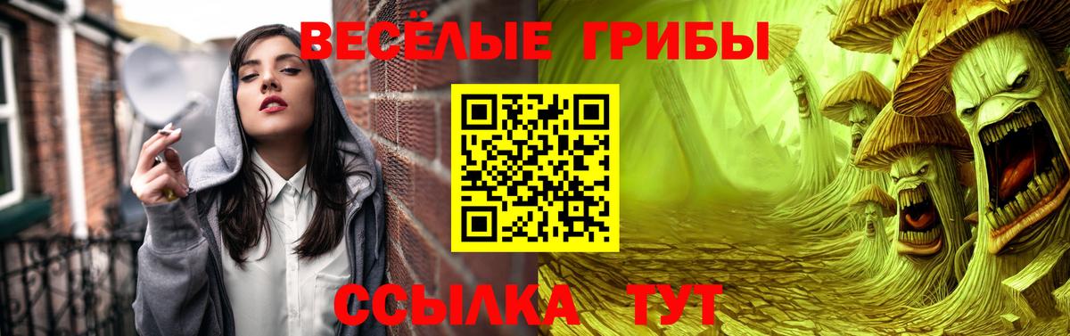 Галлюциногенные грибы мухоморы Черемхово